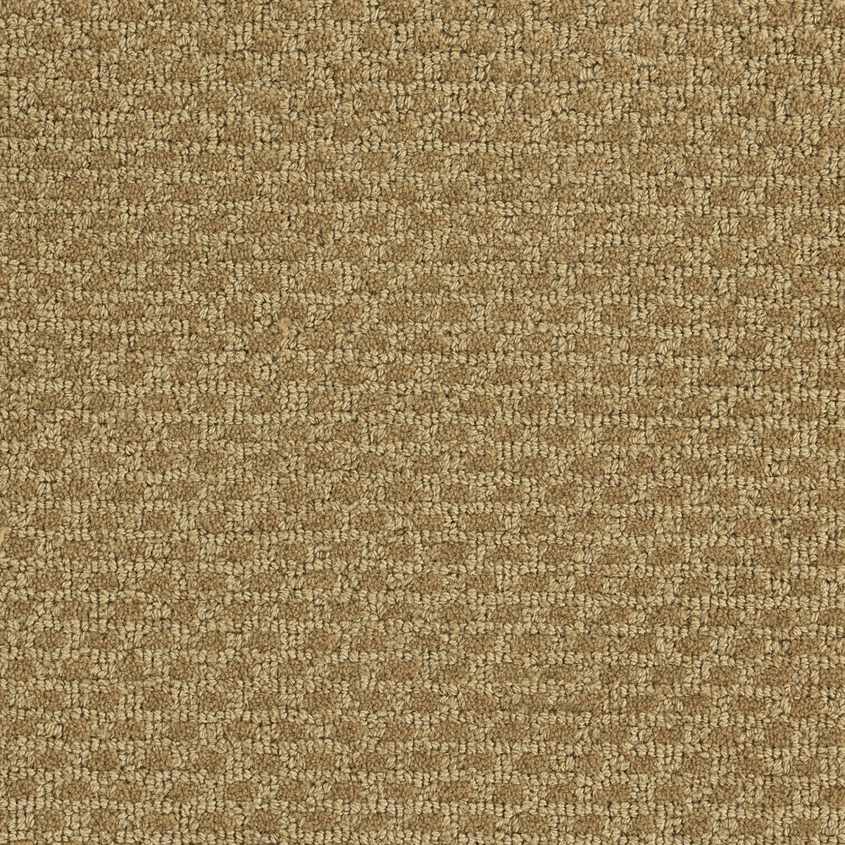 canvas-beige